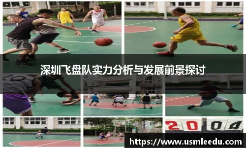 深圳飞盘队实力分析与发展前景探讨